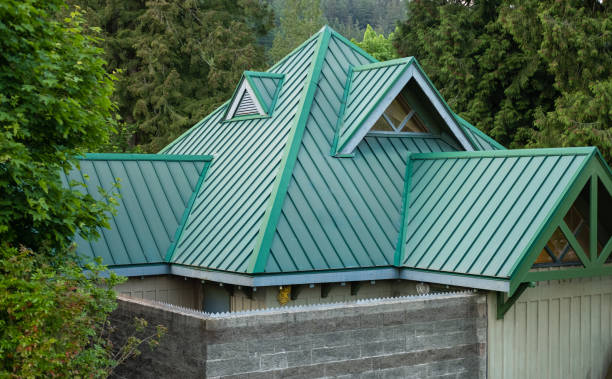 Best Solar Panel Roofing Installation  in Dayton, TX